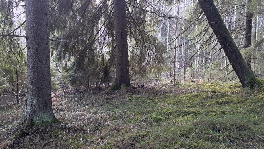 20251227_114847.jpg