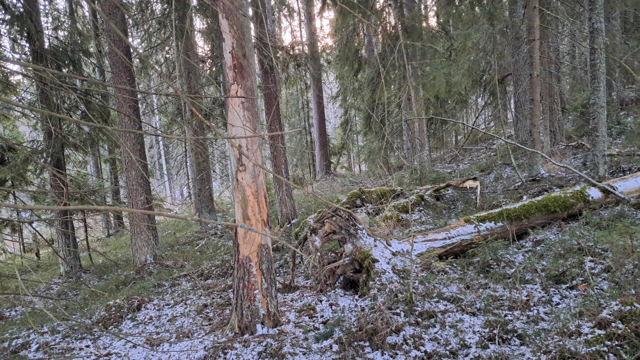 20251228_113445.jpg