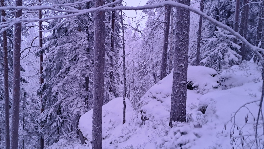 20260107_152151.jpg