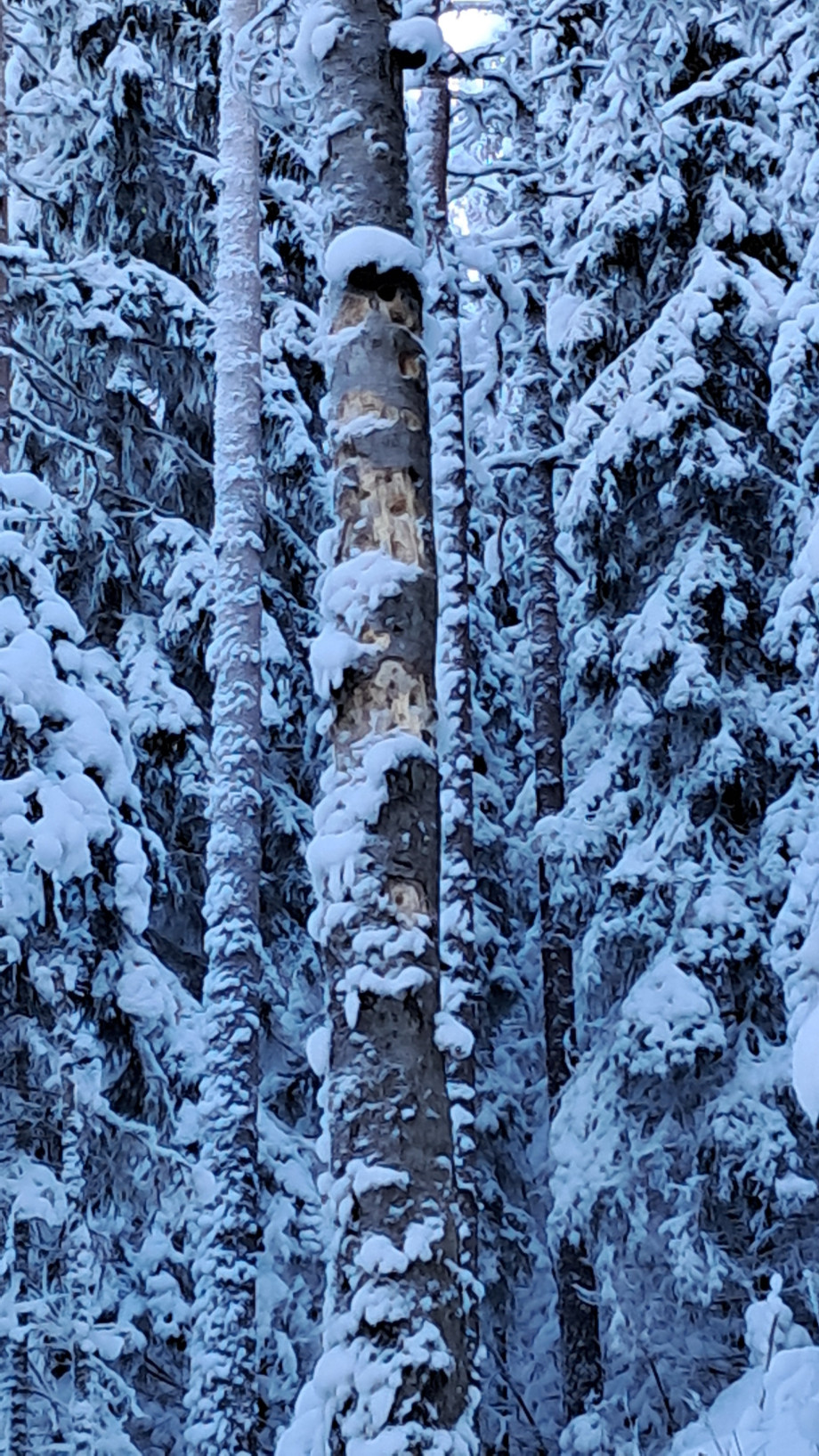 20260203_130216.jpg