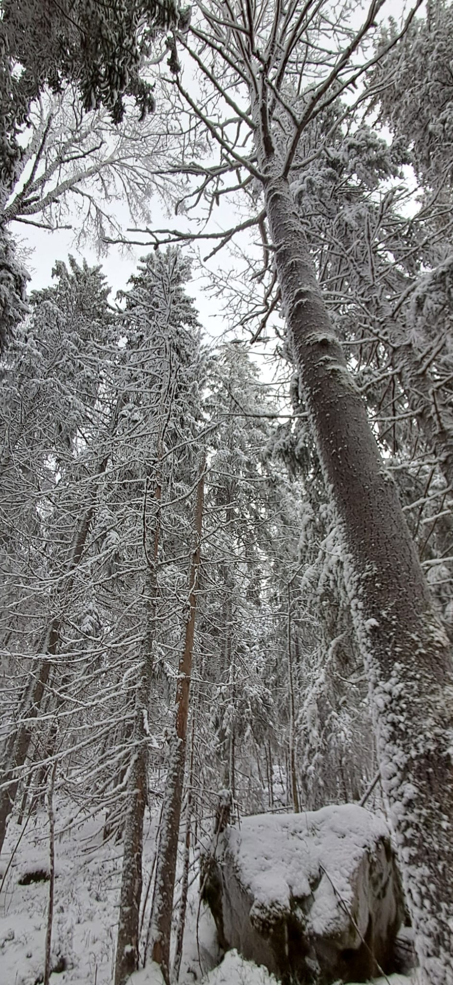 IMG-20260111-WA0013.jpg